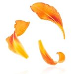 线上巴黎人赌博:探索虚拟赌场的魅力与风险 bus8eh