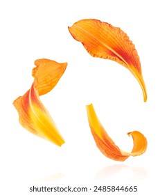 线上巴黎人赌博:探索虚拟赌场的魅力与风险