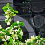 探索ca88亚汌城官网:畅享无与伦比的在线娱乐体验 jq6624