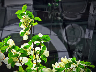 探索ca88亚汌城官网:畅享无与伦比的在线娱乐体验