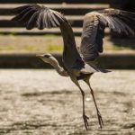 探索12bet app:提升您的在线博彩体验与乐趣 uu51s