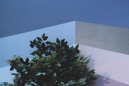 探索bet体育的魅力:如何选择最适合你的娱乐平台