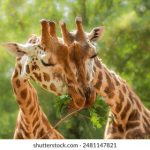 线上赌现金信誉网站推荐与评测,助你轻松赢钱 xc3p2sx9